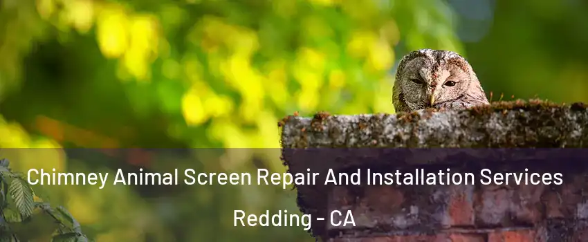  Chimney Animal Screen Repair And Installation Services Redding - CA