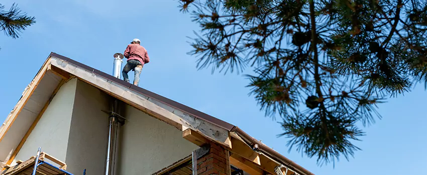 Birds Removal Contractors from Chimney in Redding, CA