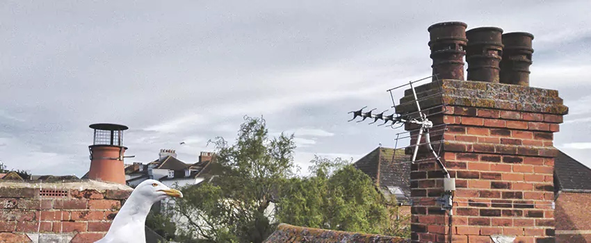 Chimney Cleaning And Restoration in Redding, California
