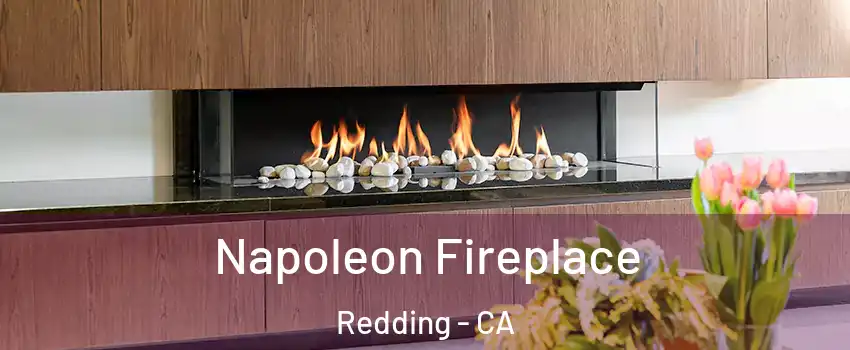 Napoleon Fireplace Redding - CA